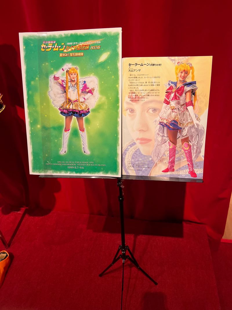 Sailor Moon Mostra costumi